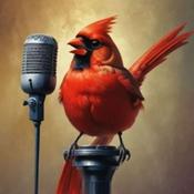 Podcast Async TI QDN