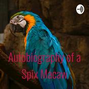 Podcast Autobiography of a Spix Macaw