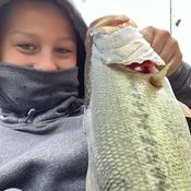 Podcast Bass fishing fanatic