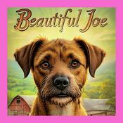 Podcast Beautiful Joe