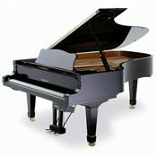 Podcast Bench Rhythms