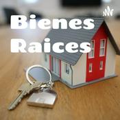 Podcast Bienes Raices