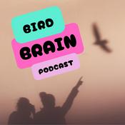 Podcast Bird Brain