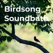 Podcast Birdsong Soundbath