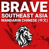 Podcast BRAVE (Chinese) 东南亚科技： 新加坡、印度尼西亚、越南、菲律宾、泰国和马来西亚初创企业、创始人和风险投资 VC