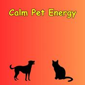 Podcast Calm Energy for Pet Parents | Daily Affirmations That Work