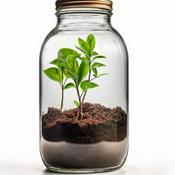Podcast Como cuidar de tus plantas