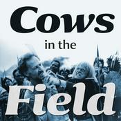 Podcast Cows in the field