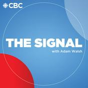 Podcast The Signal