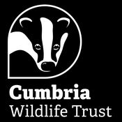 Podcast Cumbria Wildlife Trust’s Podcast
