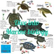 Podcast Dive into Marine biology