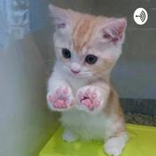 Podcast Embarrassing Stories