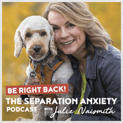 Podcast Be Right Back! The Separation Anxiety Podcast