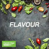 Podcast Flavour