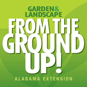 Podcast From the Ground Up