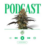 Podcast Home Grow TV Talk Show