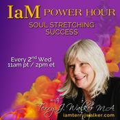 Podcast I AM Power Hour: Soul Stretching Success with Terry J. Walker