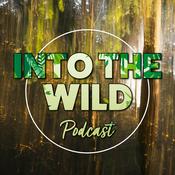 Podcast Into The Wild