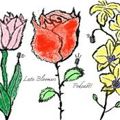 Podcast Late Bloomers Podcast
