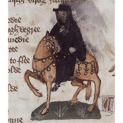 Podcast Late Bloomers