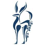 Podcast Le Café des Zarts