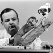Podcast Let’s Get Ethical