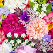 Podcast Let’s talk