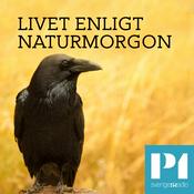 Podcast Livet enligt Naturmorgon