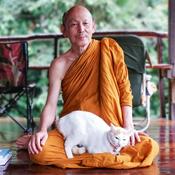 Podcast Luangpor Paisal Visalo‘s Podcast (ธรรมะ จาก หลวงพ่อไพศาล วิสาโล)