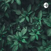 Podcast MackSays