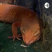 Podcast Meep:o’s Sanctuary