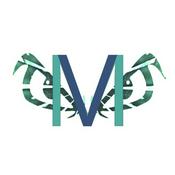 Podcast Melee Vision Podcast