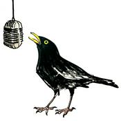 Podcast Messages from the Wild