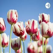 Podcast MGT 15th amendment