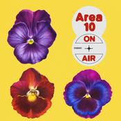 Podcast MK - Area10 On Air