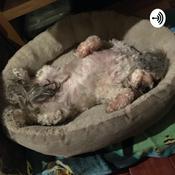 Podcast Modern Day Moriarty