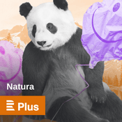 Podcast Natura