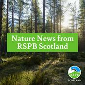 Podcast Nature News from RSPB Scotland