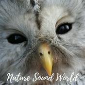 Podcast Nature Sound World - Luontoäänien maailma
