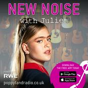 Podcast New Noise