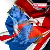 Podcast News from Poland