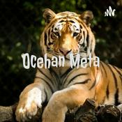 Podcast Ocehan Meta