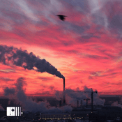 Podcast От уральского золота до медной мечети: Путешествие в Верхнюю Пышму