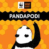 Podcast Pandapodi