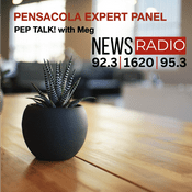 Podcast Pensacola Expert Panel