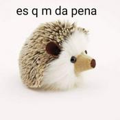 Podcast Piloto