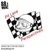 Podcast Pit Lane Perspectives