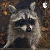 Podcast Raccoons Etc.