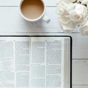 Podcast Reading Through the Bible Together