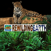 Podcast Rewilding Earth Podcast